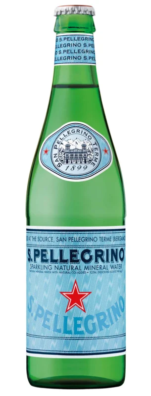 San Pellegrino mit CO2 EW 24x 50cl