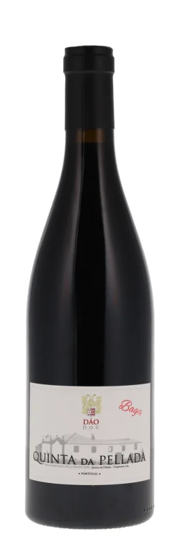 Quinta da Pellada Baga Tinto 2020 Dão DOC 13° 75cl