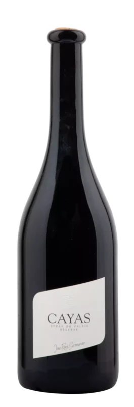 Jean-René Germanier Cayas Syrah Réserve 2021 Valais AOC 13° 75cl