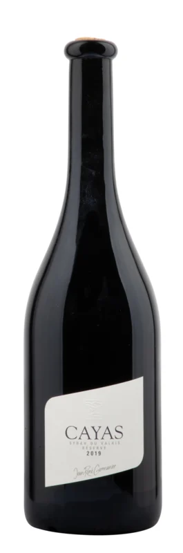 Jean-René Germanier Cayas Syrah Réserve 2021 Valais AOC 13° 1.5l